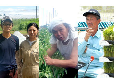 It is Takashima to want you just just to feel strength of the agriculture in simplicity of the agriculture.